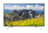 Телевизор Sony KD-49XF7596 фото 2
