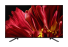 Телевизор Master Series 4K HDR KD-65ZF9 фото 2