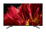 Телевизор Master Series 4K HDR KD-65ZF9 фото 1