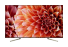 Телевизор Sony KD-49XF9005