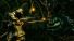 Игра для PS4 Dark Souls Trilogy [PS4, русские субтитры] фото 4