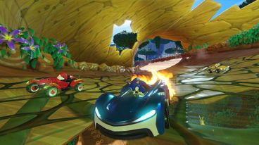 Игра для PS4 Team Sonic Racing [PS4, русские субтитры] фото 3